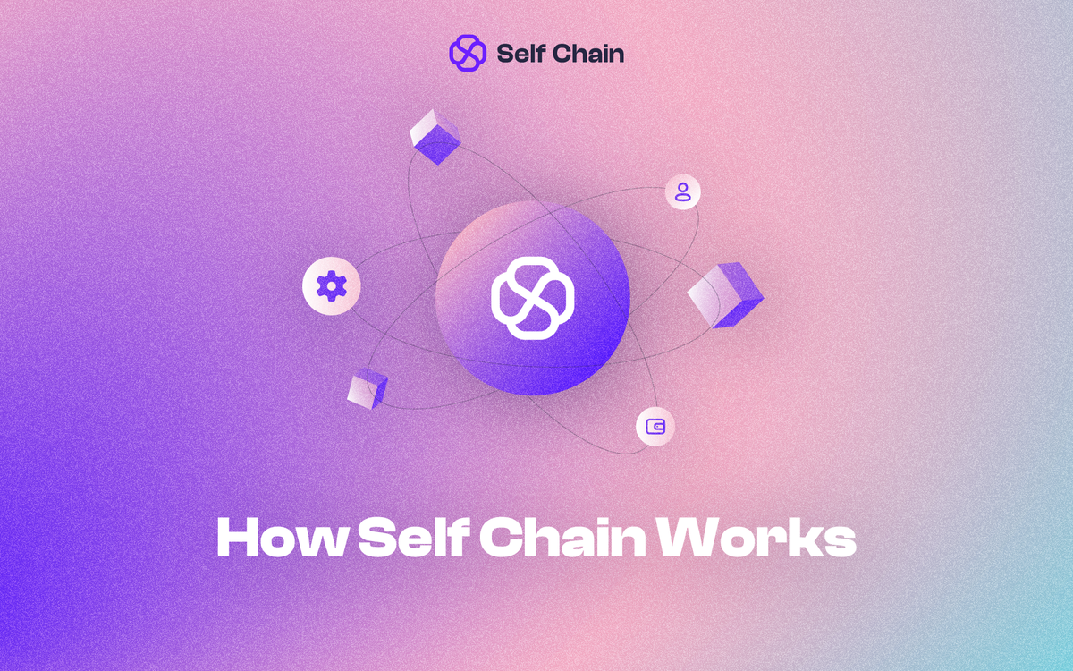 How Self Chain Works