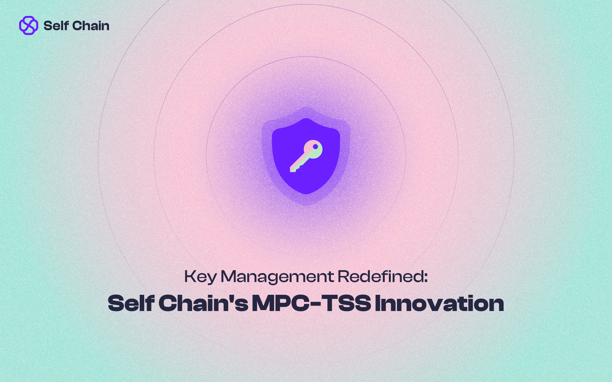 Key Management Redefined: Self Chain’s MPC - TSS Innovation