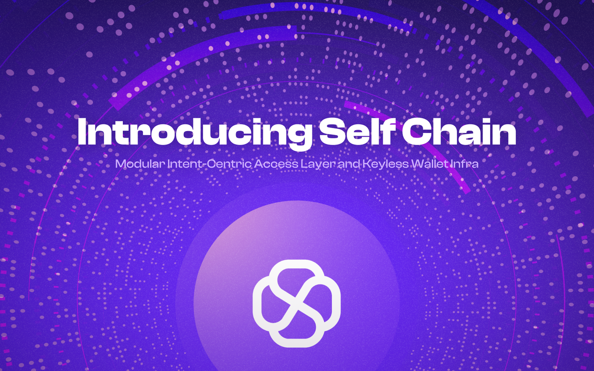 Introducing Self Chain