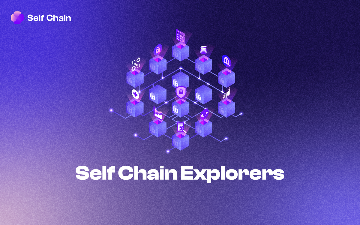 Exploring Self Chain: A Guide to Navigating the Two Explorers