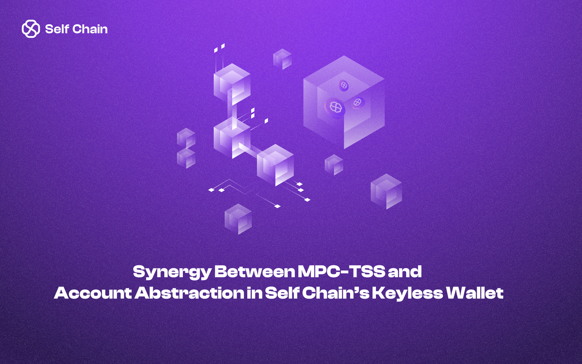 Synergy Between MPC-TSS and Account Abstraction in Self Chain’s Keyless Wallet