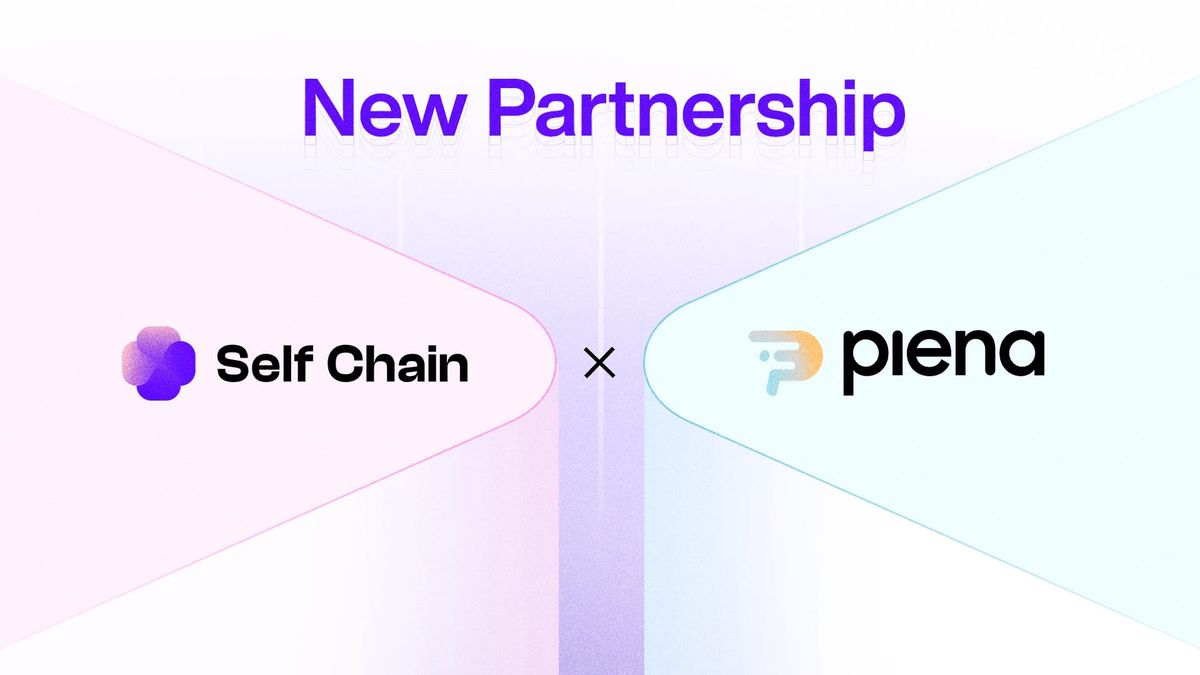 Self Chain Announces a Strategic Partnership with Plena Finance