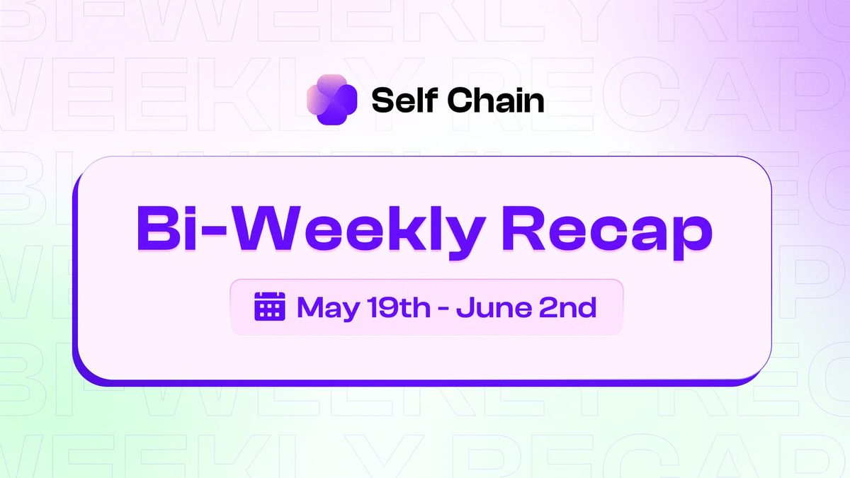 Self Chain Bi-Weekly Recap: Testnet Reactivation & Ecosystem Growth