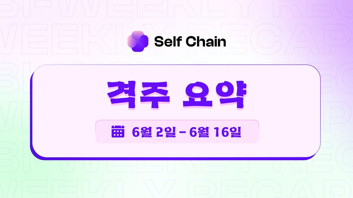 셀프체인 격주 리캡: 매끄러운 Web3를 위한 기반 구축