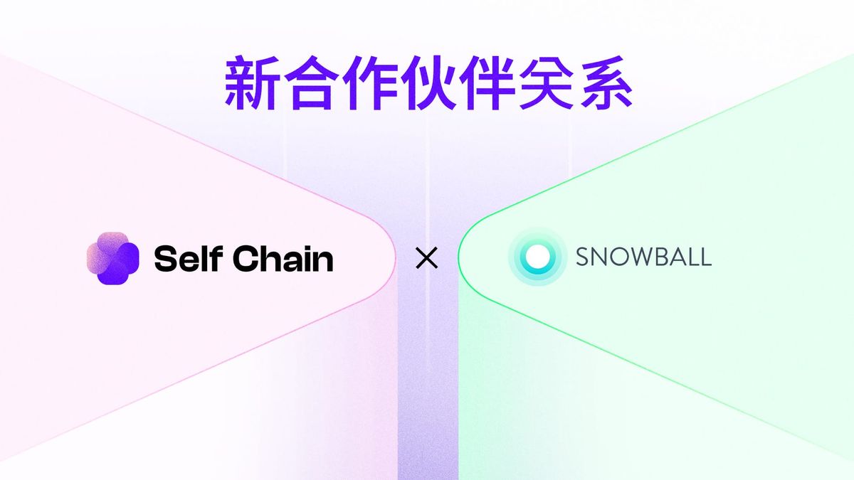Self Chain 与 Snowball 建立战略合作伙伴关系