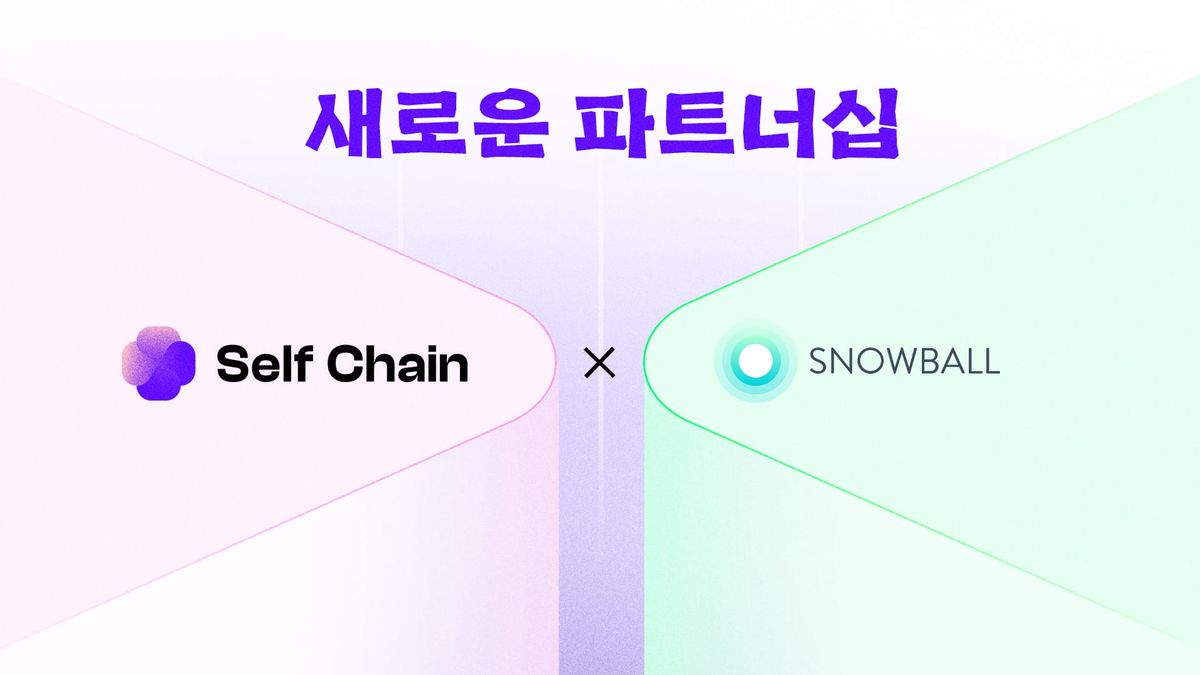 셀프체인, 스노우볼과 전략적 파트너십 체결