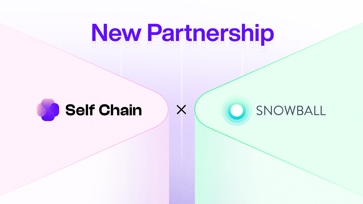 Self Chain Forms a Strategic Partnership with Snowball