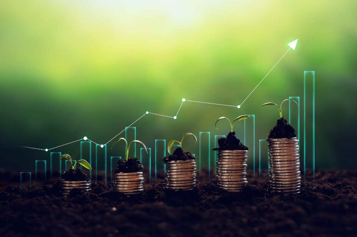 Unleashing the Power of Compounding in Stock Investing
