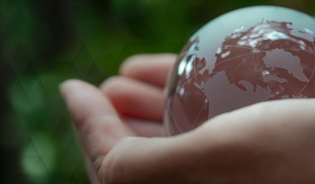 Global Diversification: Investing Beyond Local Markets