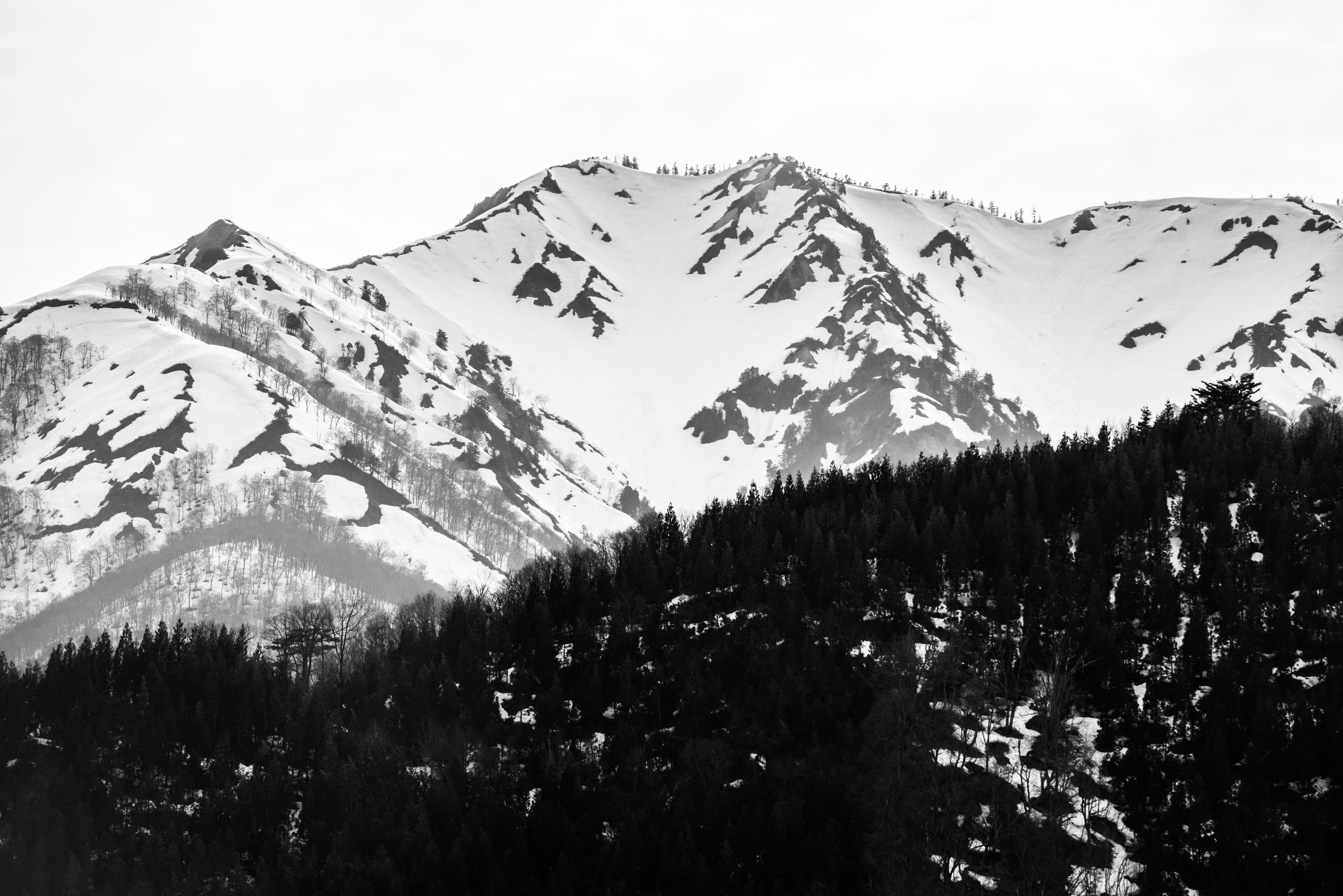 Ikkosanzon-Amitabha-Nyorai-05-1