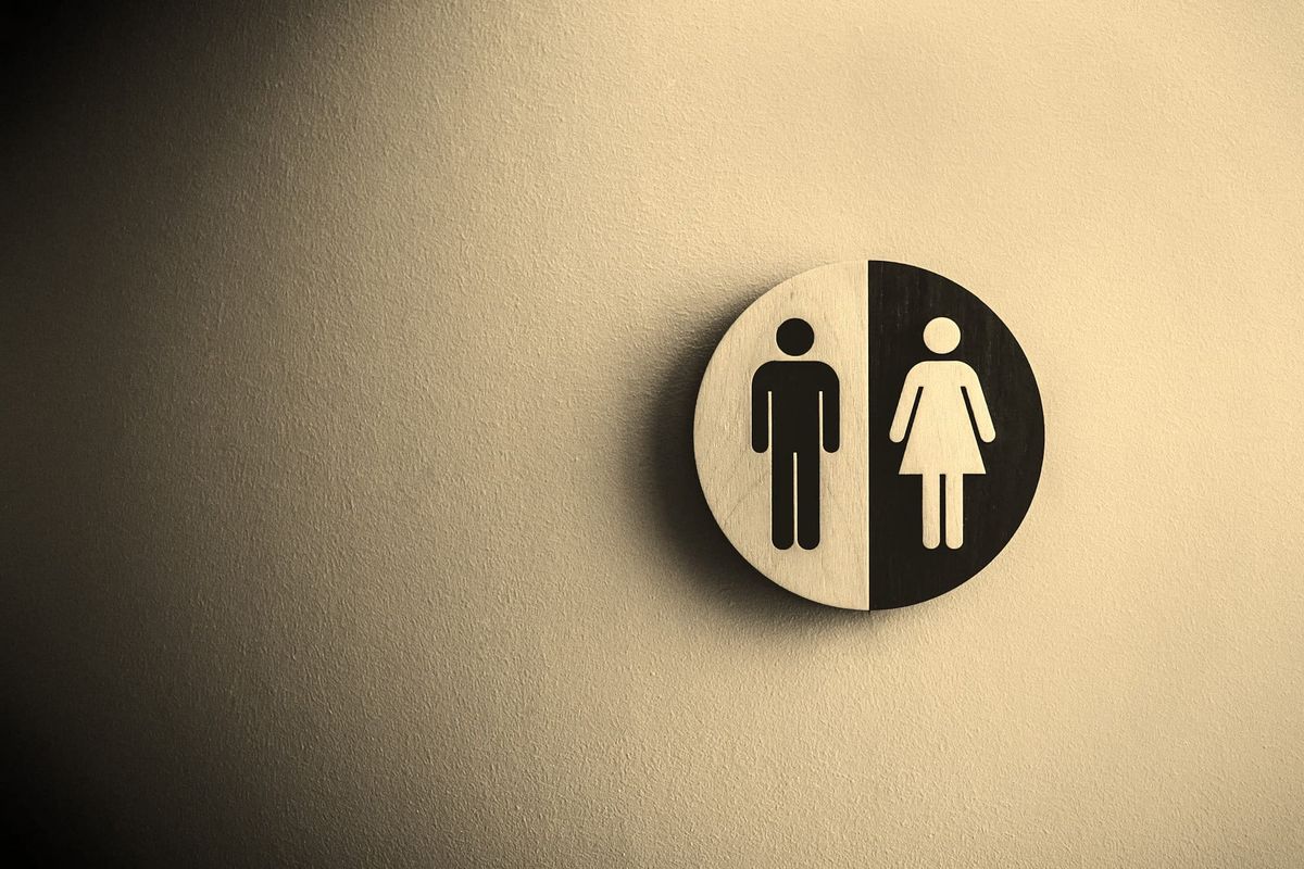 The 19th Amendment Explained