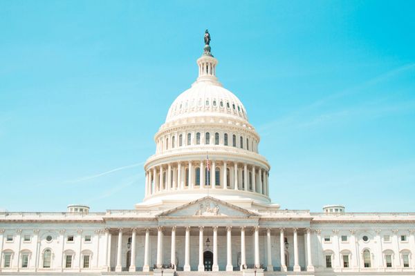Article 1: Congress Explained