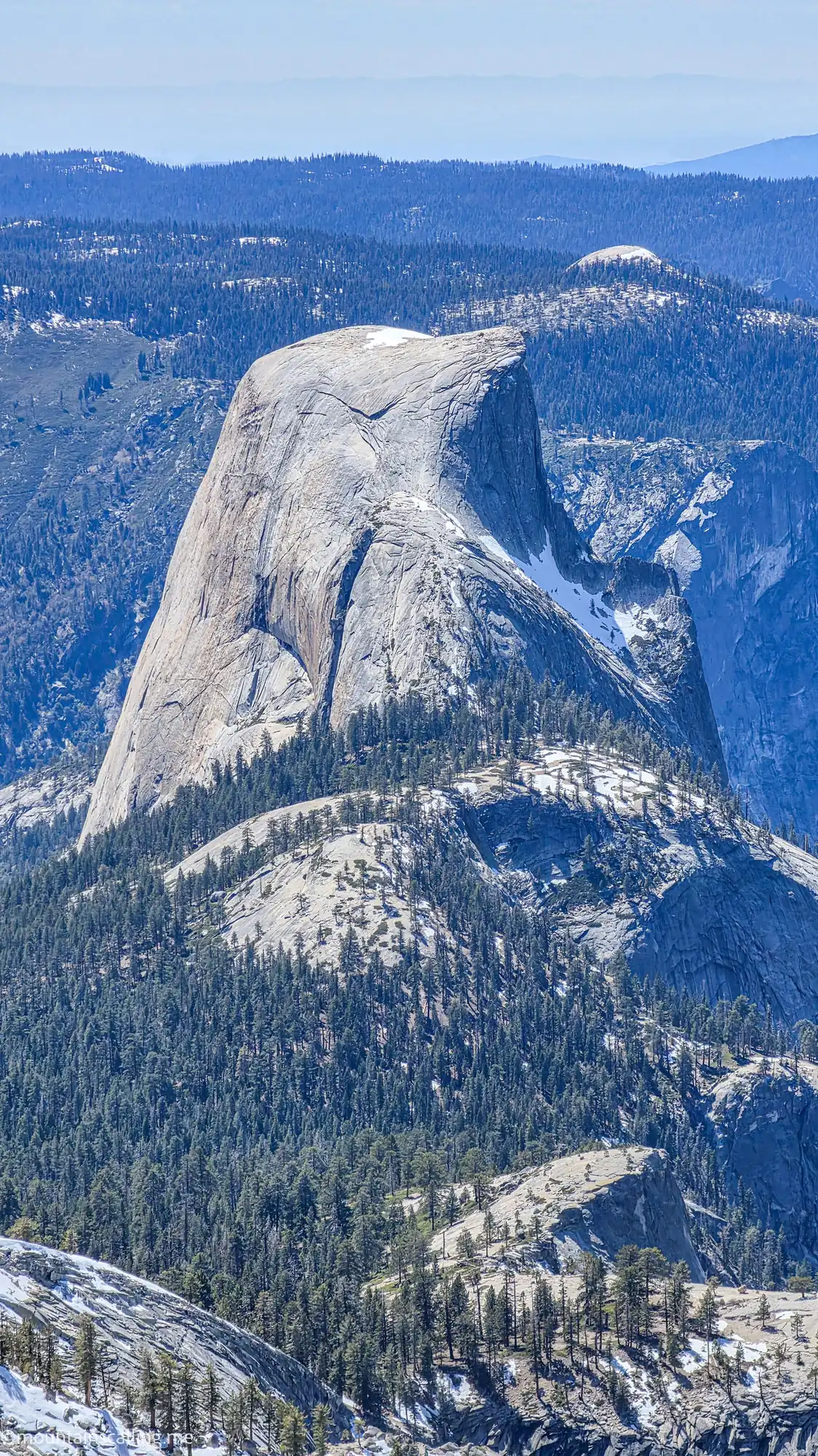 Half Dome granite monolith viewed from Clouds Rest backpacking trail with forested Sierra Nevada mountains