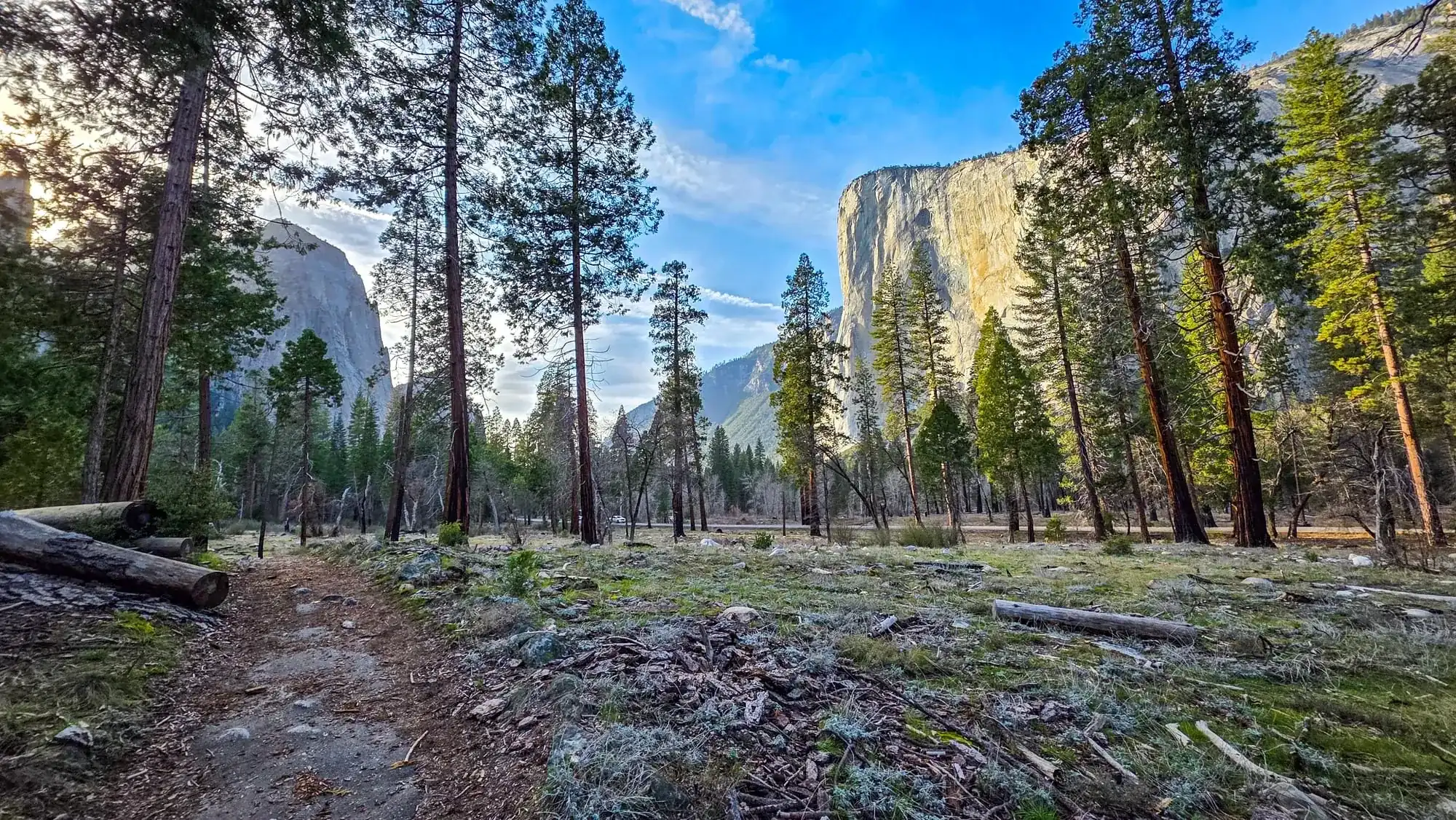 Yosemite Valley floor with granite cliffs and mixed forest during private guided day hike experience
