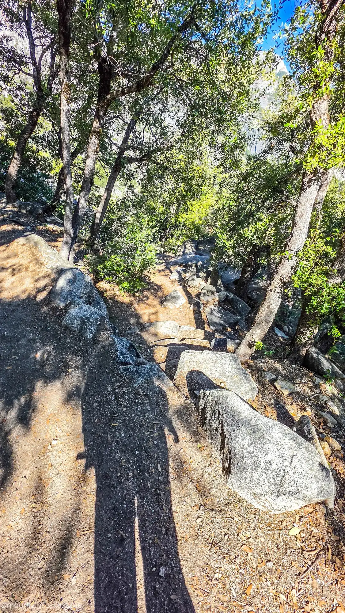 Rocky granite boulders and oak trees along OMG Point trail with hiker shadow visible on ground