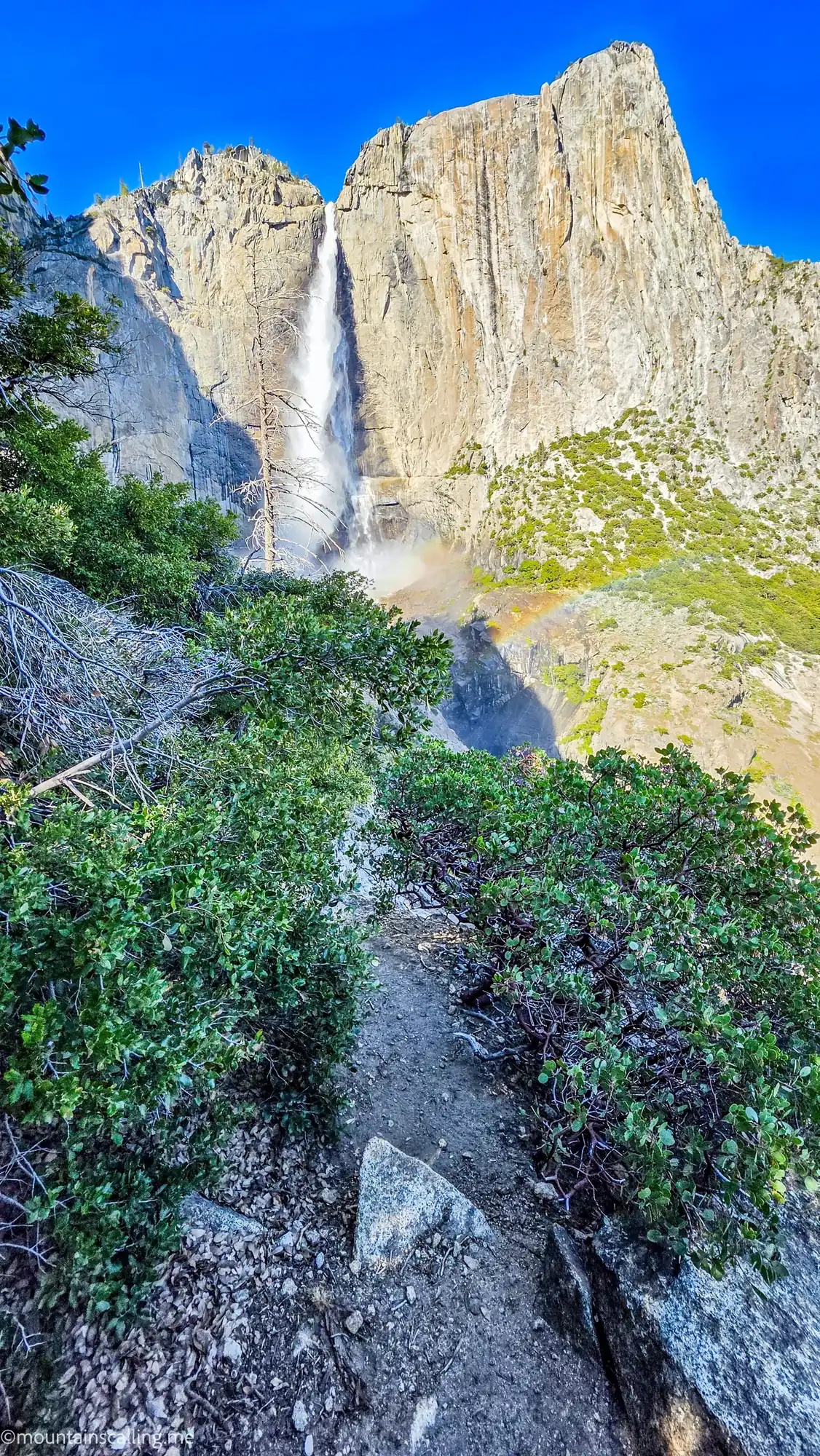 Yosemite Falls with rainbow in mist at OMG Point through green vegetation and granite boulders