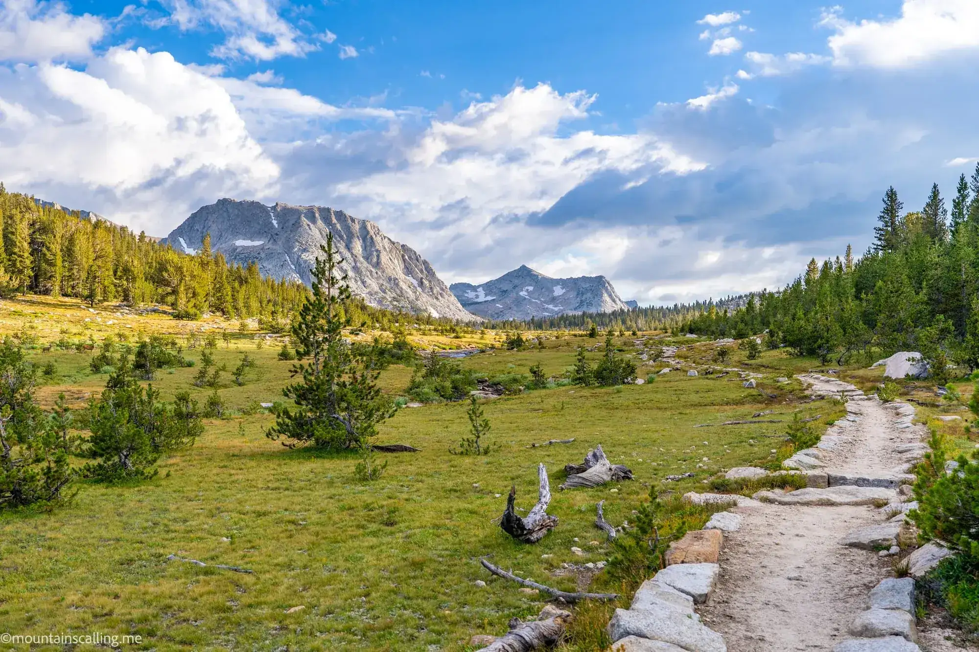 Trail winding through Yosemite high country meadow with granite peaks and evergreen forest backdrop