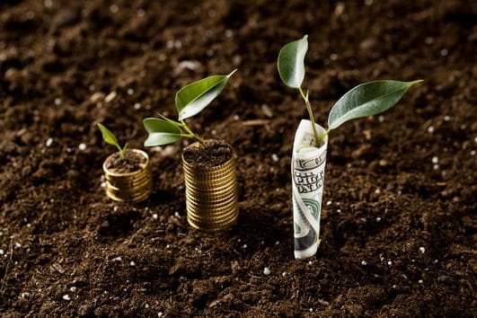 Nature-Based Solutions and Biodiversity Finance