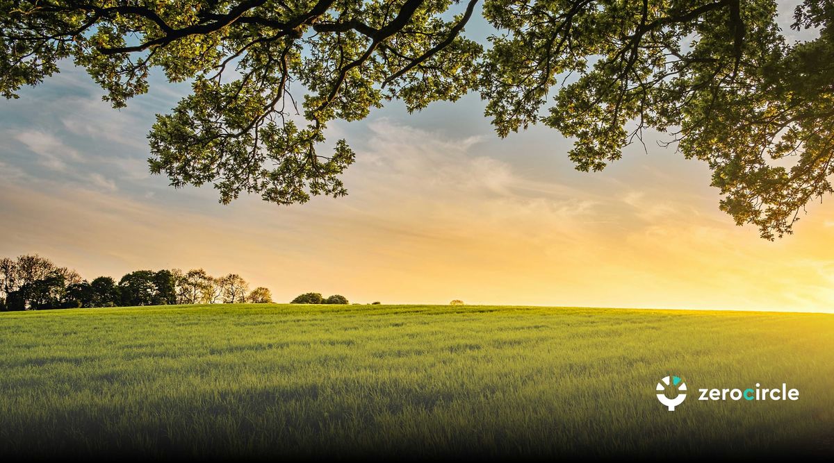 Navigating Climate Action in a Changing Political Landscape: A Message From Hemanth Setty, Founder of Zero Circle