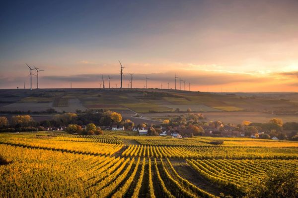 Sustainable Agriculture and Food Security in Africa