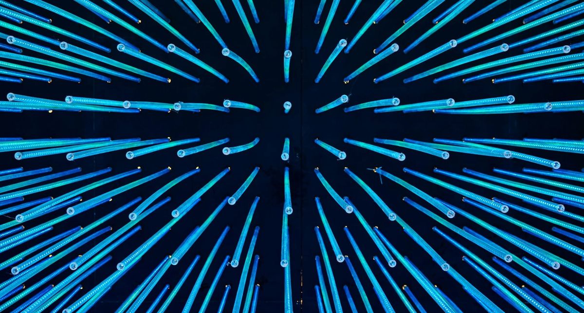 Morsige menslike drama