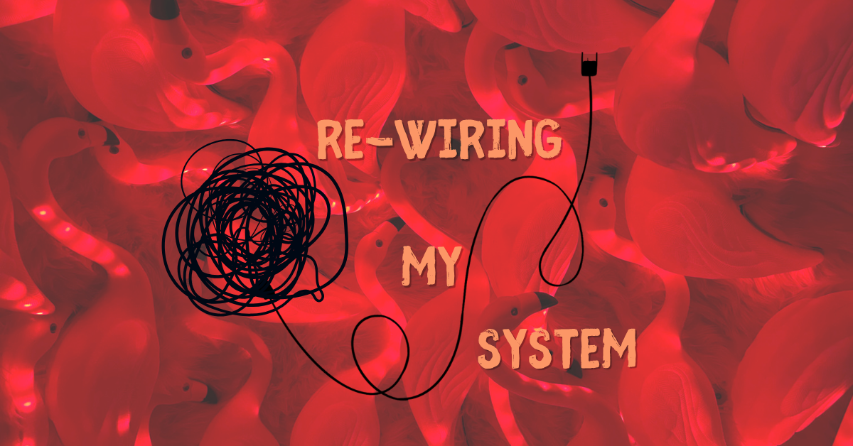 Re-Wiring My System