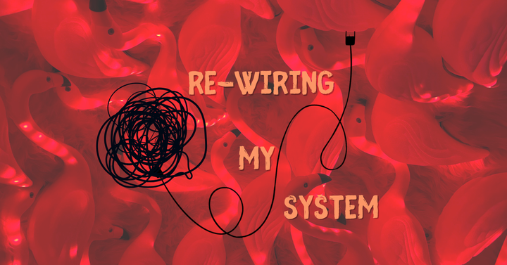 Re-Wiring My System