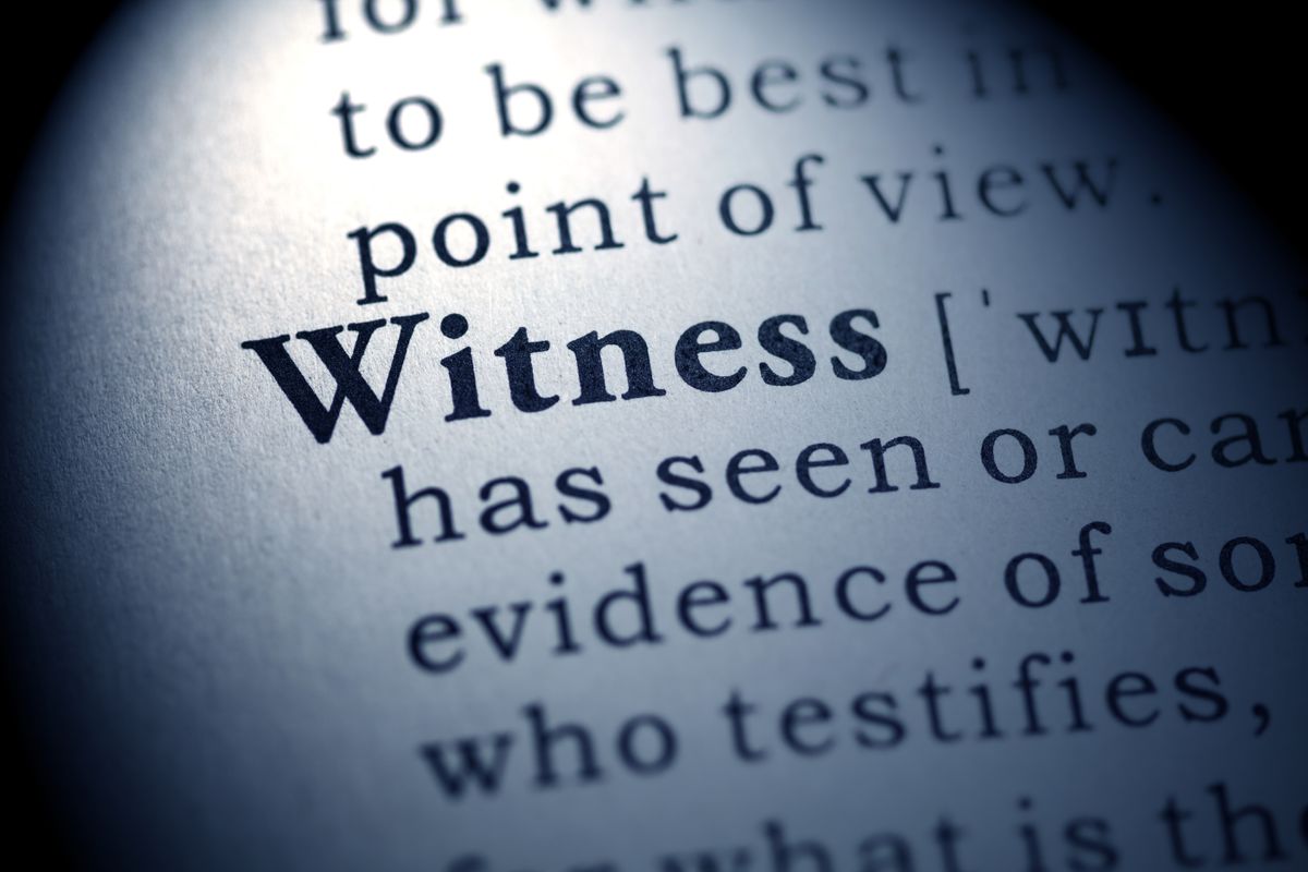 Bear the Witness
