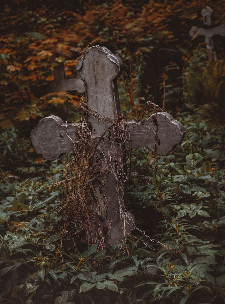On The Day Of James Dobson's death