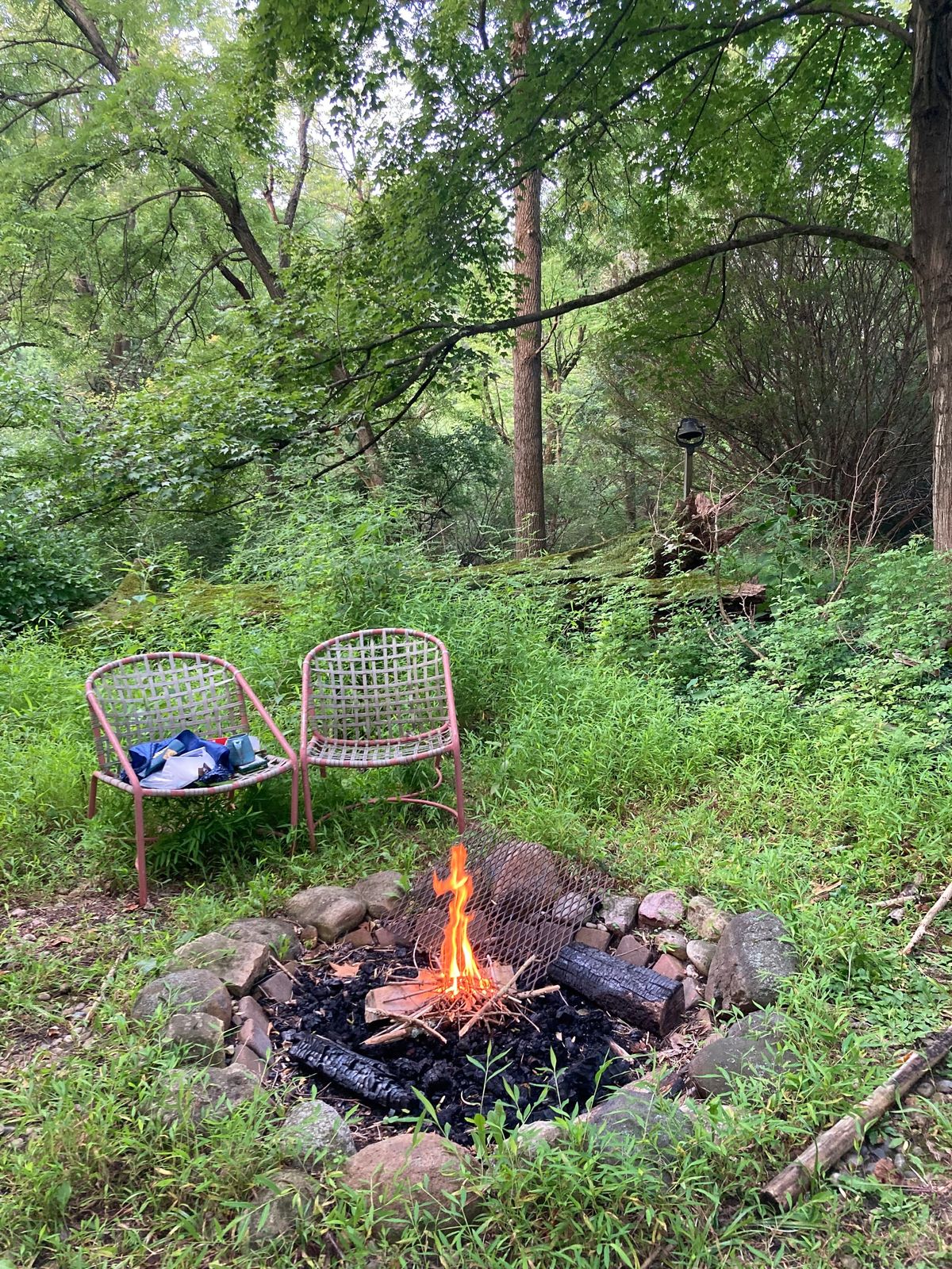 Two chairs pulled up beside a campfire that's surrounded by a circle of stones and thick grass and green leaves.