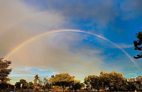 Giant, full rainbow arching across a part-blue part-cloudy sky, above suburban looking trees and signs