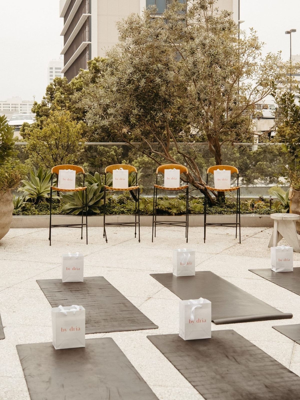 by dria wellness morning: LA
