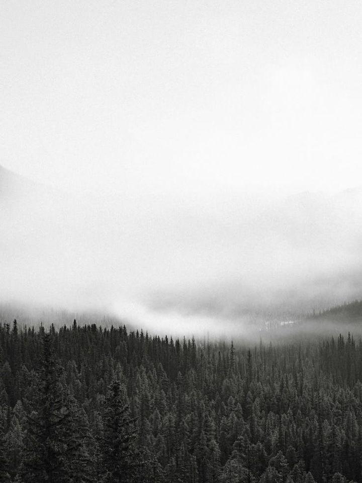 mecca health: the mecca method