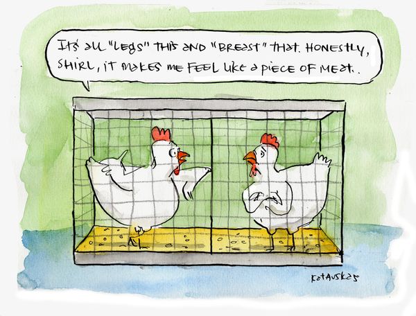 Poultry concerns...