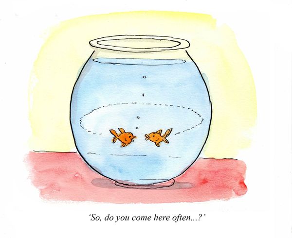 The good thing about romance between goldfish...