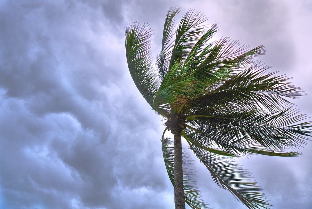 Hurricane Preparedness Guide