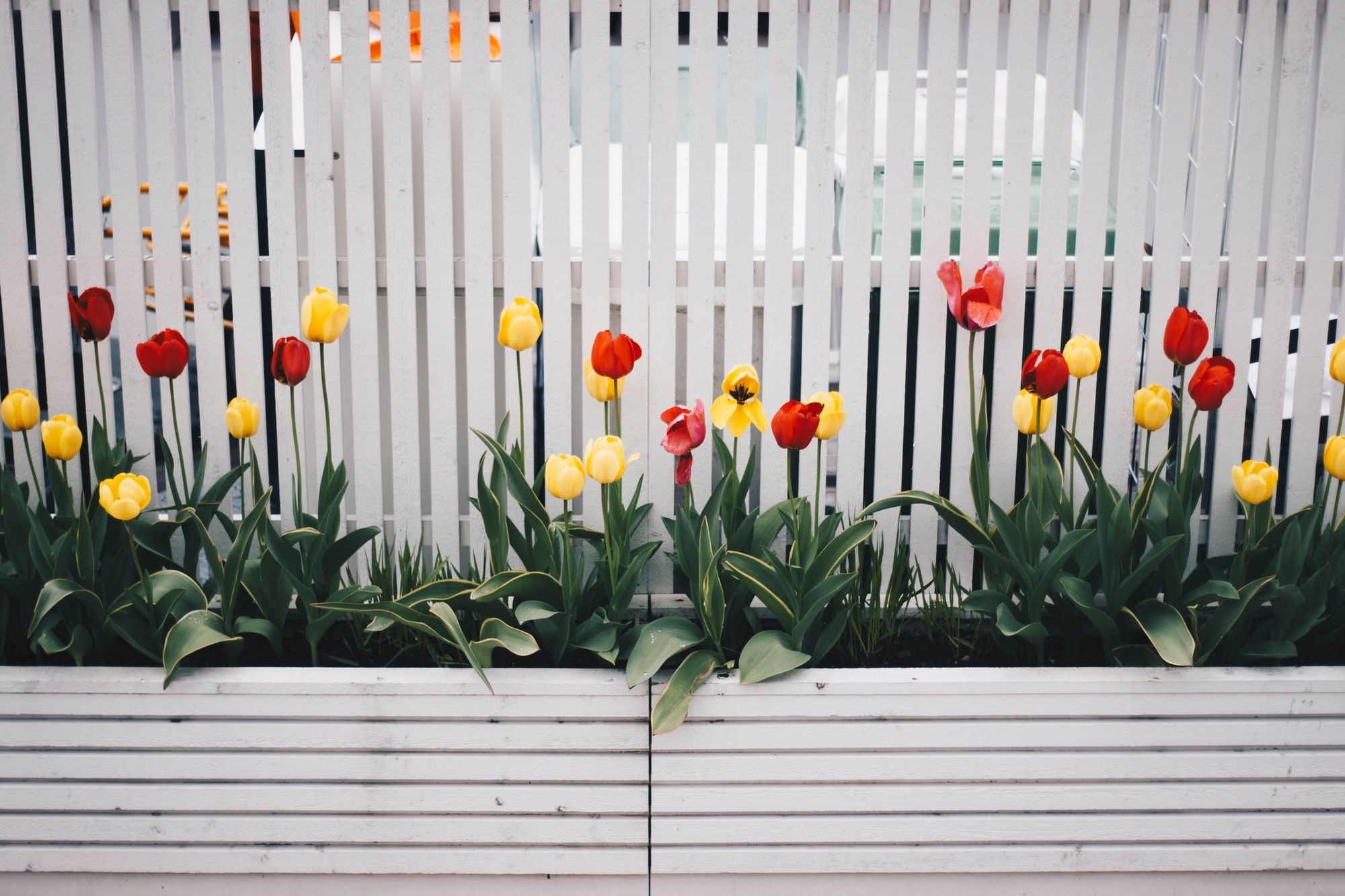 What is the Right Fence for Your Property?