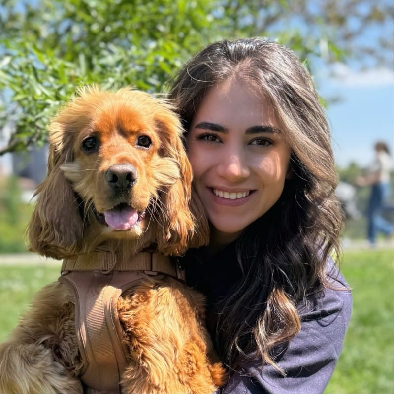 Lusine Sargsyan's Avatar