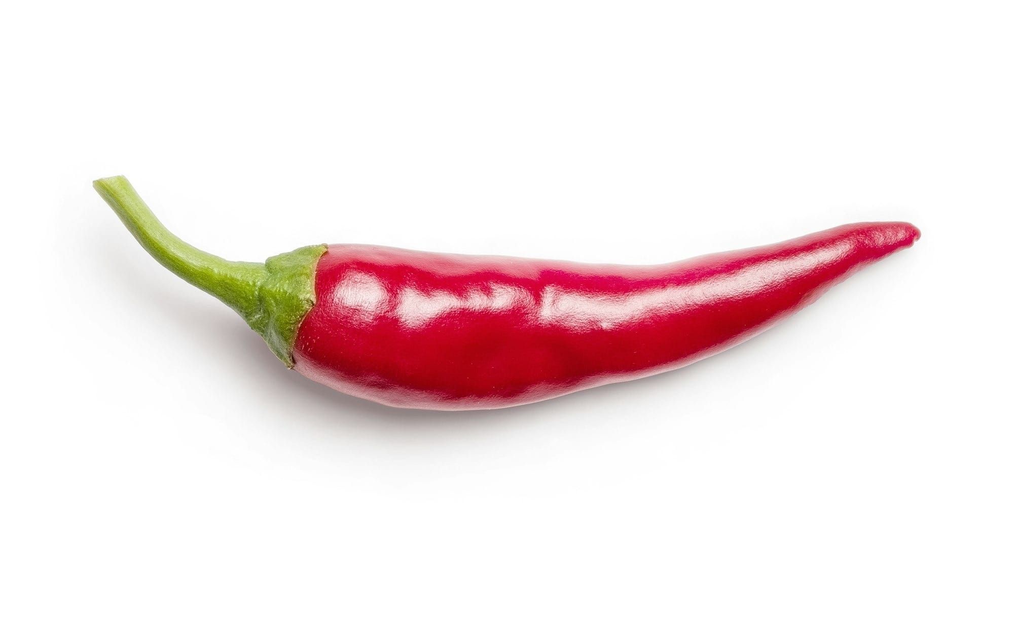 Job Referrals Don't Work 🌶️