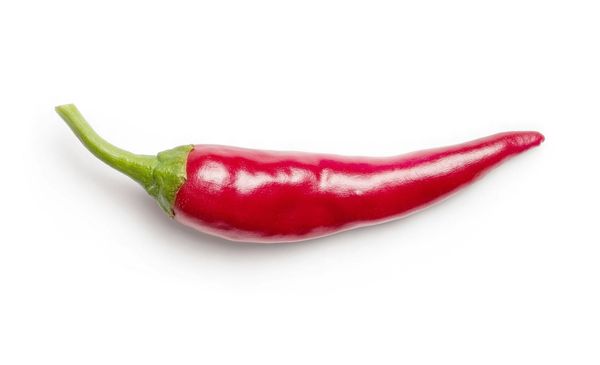 Job Referrals Don't Work 🌶️