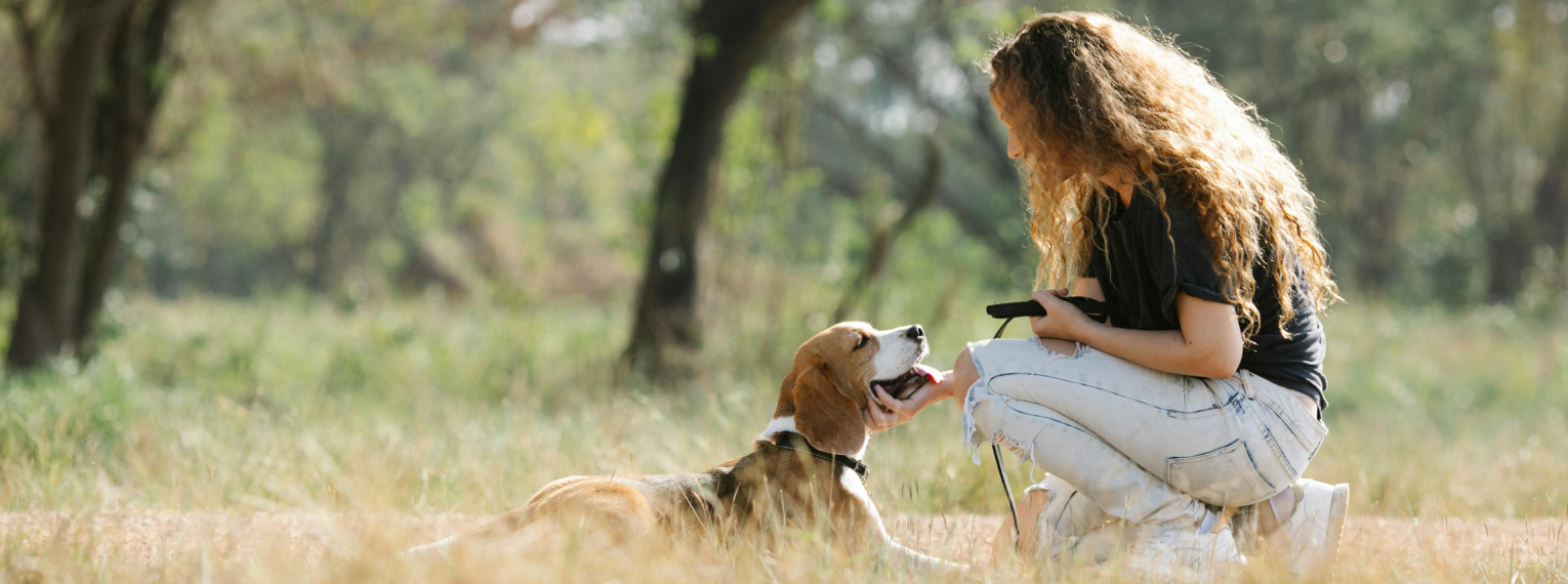 Ein Hund liegt auf einer Wiese und wird seinem Frauchen gestreichelt.