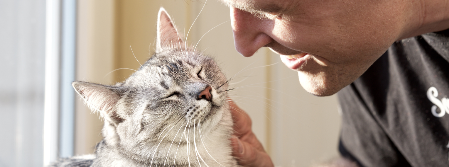 Eine Katze mit ihrem Besitzer.
