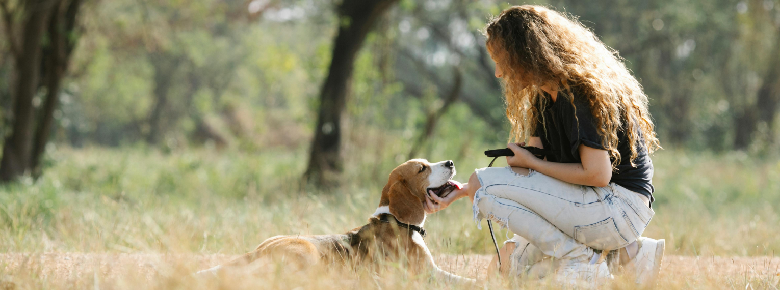 Ein Hund liegt in hohem Gras und wird von seinem Frauchen auf Flöhe untersucht.