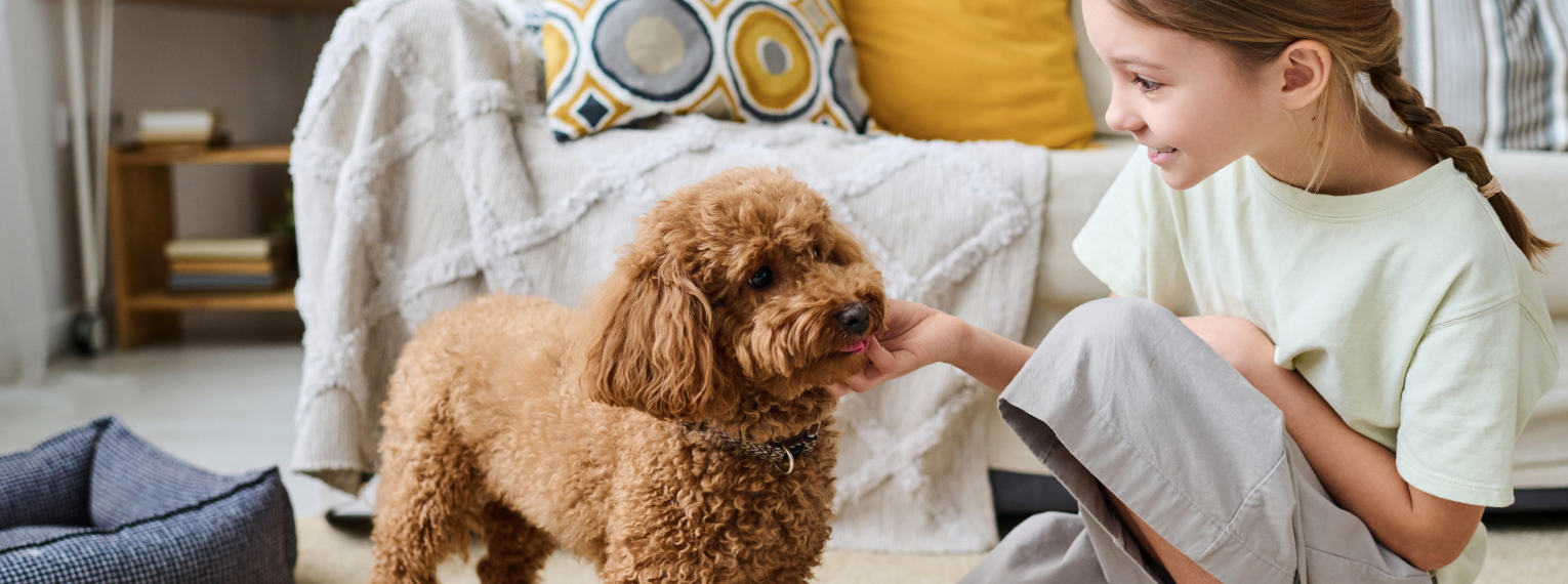 Ein Hund wird von einem jungen Mädchen gekrault.