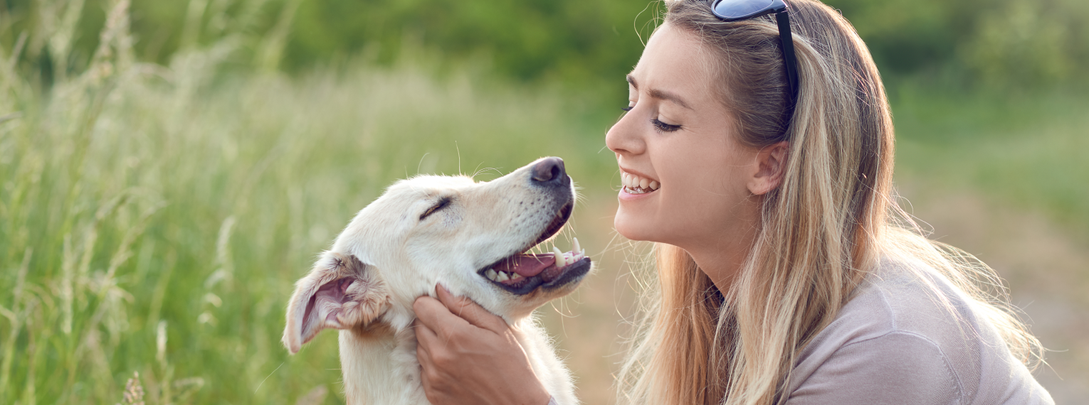 Ein Hund spielt mit seiner Besitzerin.