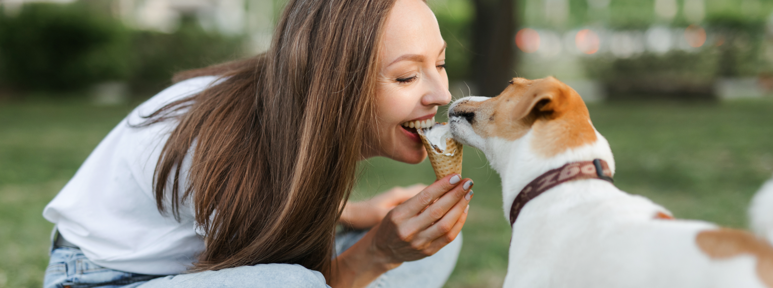 Ein Hund kühlt sich mit Eis ab.