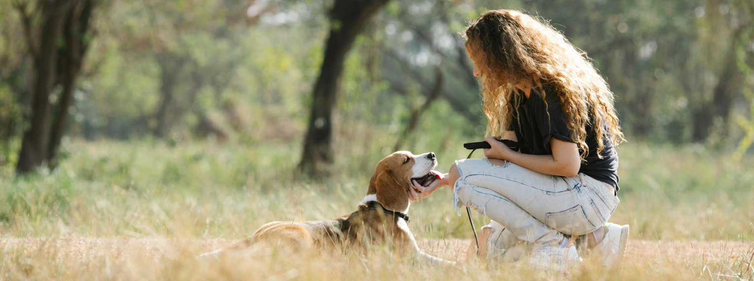 Ein glücklicher Hund und seine Besitzerin spielen auf einer Wiese.