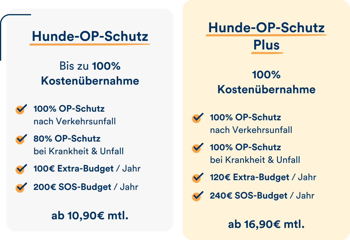 Die petolo Hunde-OP-Tarife im Überblick