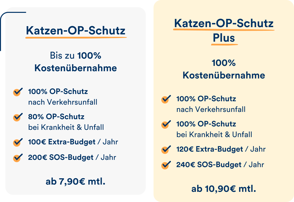 Die petolo Katzen-OP-Schutz-Tarife im Überblick
