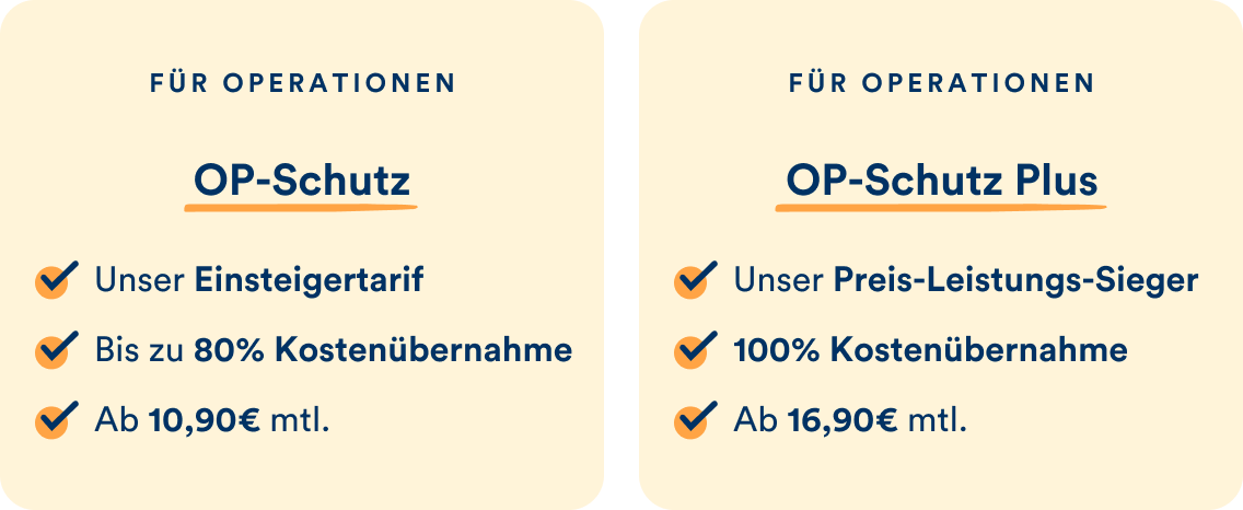 Die petolo Hunde-OP-Tarife im Überblick